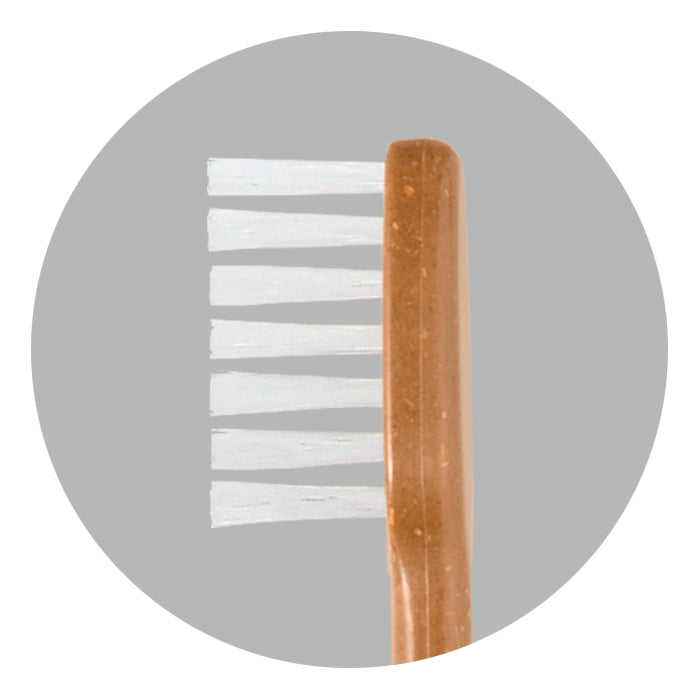 ＭＥＧＵＲＵ　竹の歯ブラシ（ひまし樹脂毛）